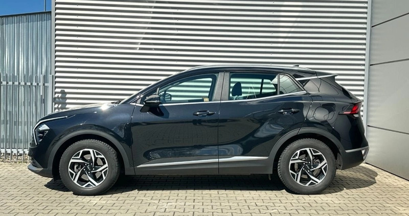 Kia Sportage cena 124900 przebieg: 40279, rok produkcji 2023 z Bierutów małe 254